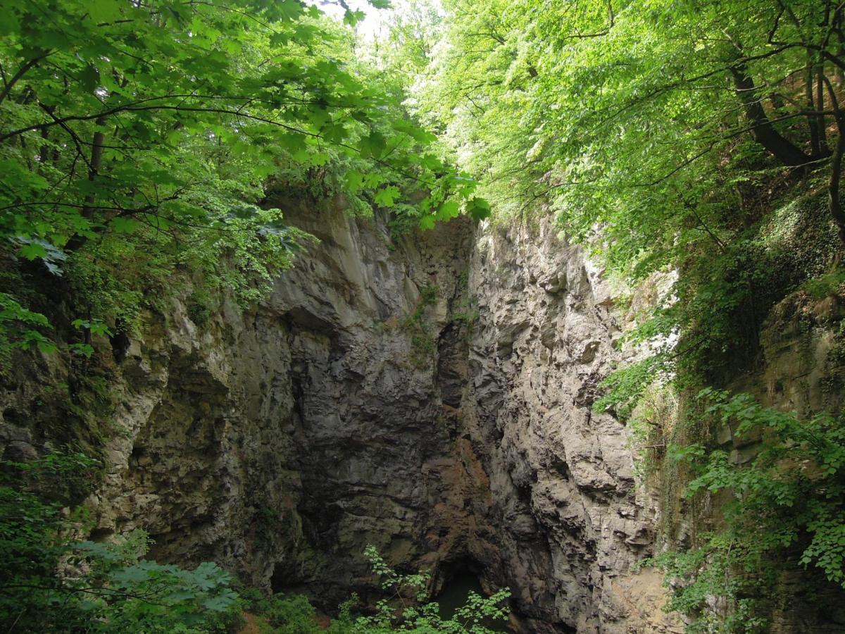 Apartma S Vlastni Saunou Lipník nad Bečou Dış mekan fotoğraf